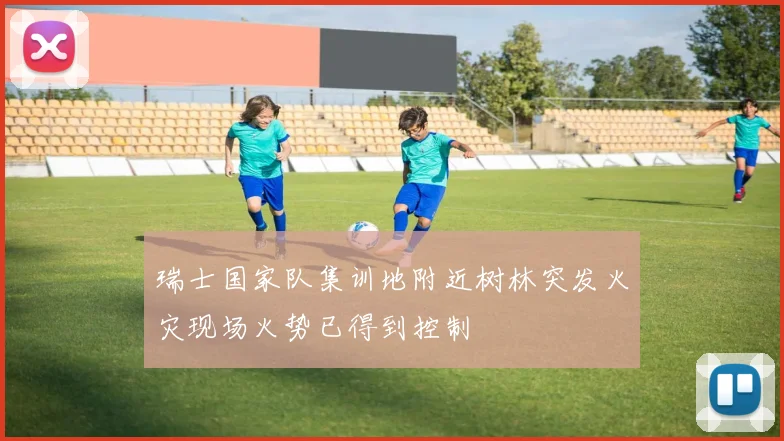 瑞士国家队集训地附近树林突发火灾现场火势已得到控制
