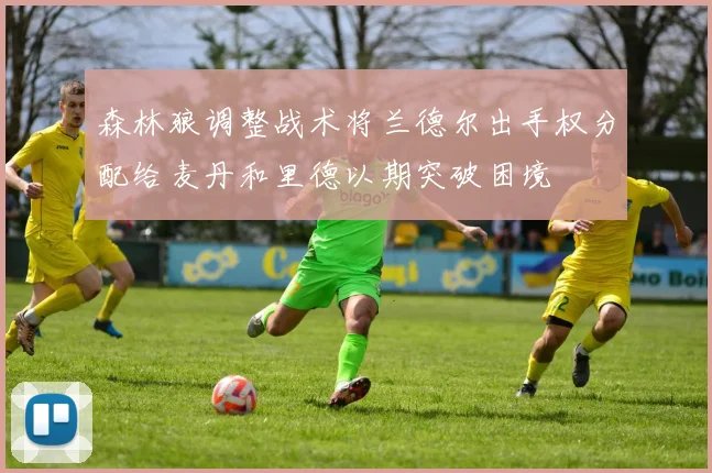 森林狼调整战术将兰德尔出手权分配给麦丹和里德以期突破困境