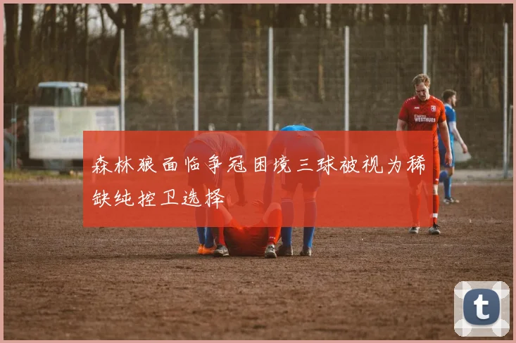 森林狼面临争冠困境三球被视为稀缺纯控卫选择
