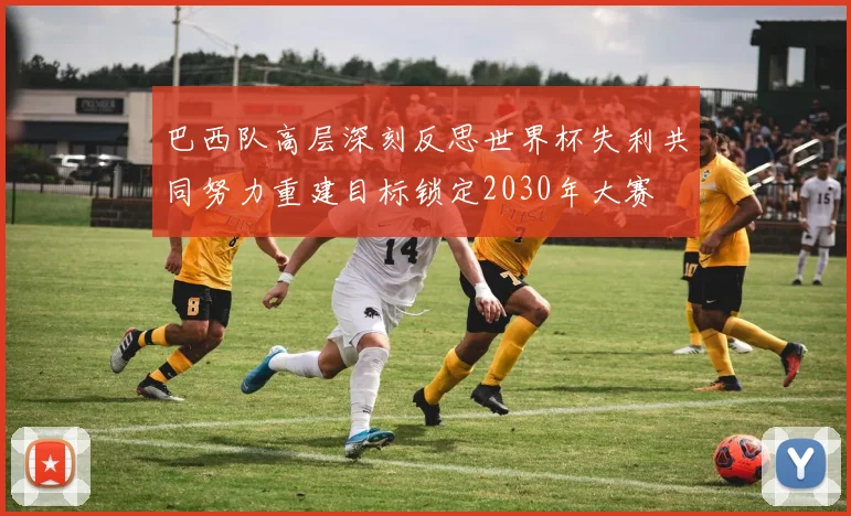 巴西队高层深刻反思世界杯失利共同努力重建目标锁定2030年大赛